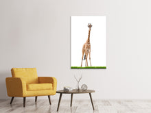 Load image into Gallery viewer, Canvas print The Long Giraffe