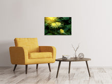 Load image into Gallery viewer, Canvas print Wild Lotus