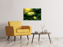 Load image into Gallery viewer, Canvas print Wild Lotus