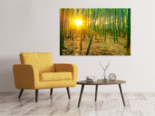 Load image into Gallery viewer, Canvas print Bamboos