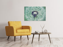 Load image into Gallery viewer, Canvas print Close Up Dandelion