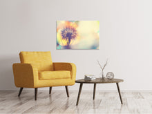 Load image into Gallery viewer, Canvas print The Dandelion In The Light
