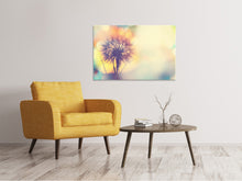 Load image into Gallery viewer, Canvas print The Dandelion In The Light