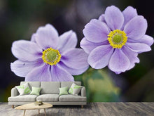 Load image into Gallery viewer, Photo Wallpaper 2 flowers