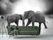 Load image into Gallery viewer, Photo Wallpaper 2 elephants sw