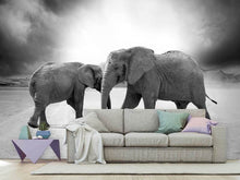 Load image into Gallery viewer, Photo Wallpaper 2 elephants sw