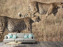 Load image into Gallery viewer, Photo Wallpaper 2 leopards