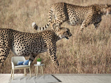 Load image into Gallery viewer, Photo Wallpaper 2 leopards