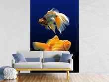 Load image into Gallery viewer, Photo Wallpaper 2 funny fish