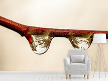 Load image into Gallery viewer, Photo Wallpaper 2 raindrops