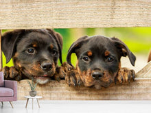 Load image into Gallery viewer, Photo Wallpaper 2 Rottweiler puppies