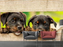 Load image into Gallery viewer, Photo Wallpaper 2 Rottweiler puppies
