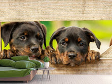 Load image into Gallery viewer, Photo Wallpaper 2 Rottweiler puppies