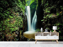 Load image into Gallery viewer, Photo Wallpaper 2 waterfalls