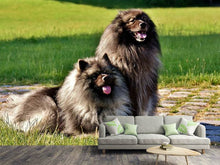 Load image into Gallery viewer, Photo Wallpaper 2 Wolfsspitz