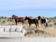 Load image into Gallery viewer, Photo Wallpaper 3 horses in nature