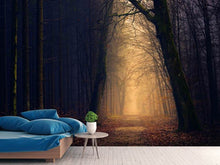 Load image into Gallery viewer, Photo Wallpaper Evening mood in the forest