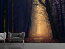 Load image into Gallery viewer, Photo Wallpaper Evening mood in the forest