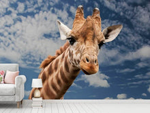 Load image into Gallery viewer, Photo Wallpaper Attention giraffe!