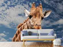 Load image into Gallery viewer, Photo Wallpaper Attention giraffe!