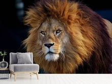 Load image into Gallery viewer, Photo Wallpaper Attention lion