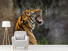 Load image into Gallery viewer, Photo Wallpaper Attention Tiger