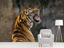 Load image into Gallery viewer, Photo Wallpaper Attention Tiger