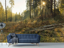 Load image into Gallery viewer, Photo Wallpaper Working in the woods