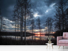 Load image into Gallery viewer, Photo Wallpaper Trees at the lake