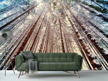 Load image into Gallery viewer, Photo Wallpaper Trees in the snow