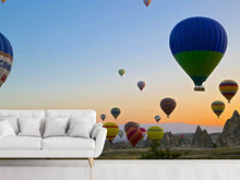 Load image into Gallery viewer, Photo Wallpaper Balloon tour