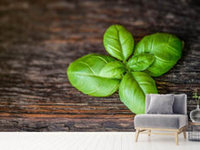 Load image into Gallery viewer, Photo Wallpaper Basil leaf in XXL