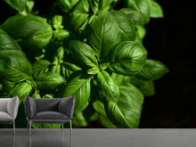 Load image into Gallery viewer, Photo Wallpaper Basil in XL