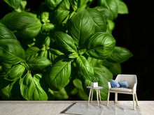 Load image into Gallery viewer, Photo Wallpaper Basil in XL