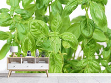 Load image into Gallery viewer, Photo Wallpaper Basil in XXL