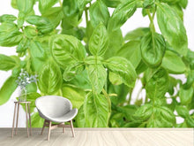 Load image into Gallery viewer, Photo Wallpaper Basil in XXL
