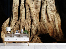 Load image into Gallery viewer, Photo Wallpaper Tree Close Up