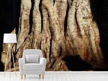 Load image into Gallery viewer, Photo Wallpaper Tree Close Up