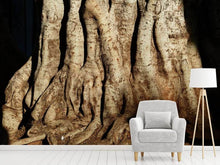 Load image into Gallery viewer, Photo Wallpaper Tree Close Up