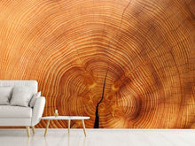 Load image into Gallery viewer, Photo Wallpaper tree rings