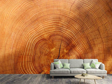 Load image into Gallery viewer, Photo Wallpaper tree rings