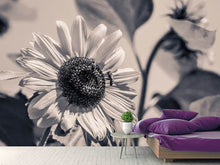 Load image into Gallery viewer, Photo Wallpaper Bees on the sunflower sw