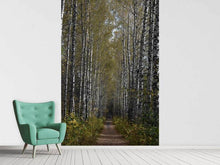 Load image into Gallery viewer, Photo Wallpaper Birch avenue
