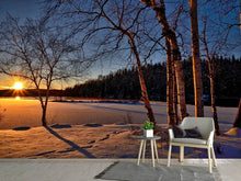 Load image into Gallery viewer, Photo Wallpaper Birches in the sunset