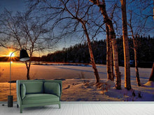 Load image into Gallery viewer, Photo Wallpaper Birches in the sunset