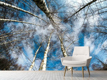 Load image into Gallery viewer, Photo Wallpaper birch crowns