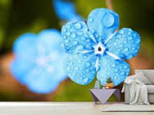 Load image into Gallery viewer, Photo Wallpaper Blue flower with morning dew