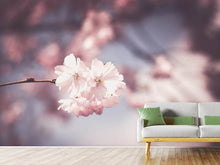 Load image into Gallery viewer, Photo Wallpaper Flower XL