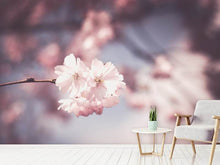 Load image into Gallery viewer, Photo Wallpaper Flower XL