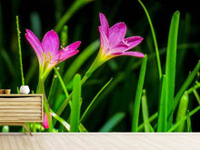 Load image into Gallery viewer, Photo Wallpaper Flowers in nature